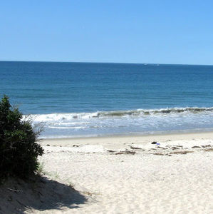 Meet your Posher, Mary ellen